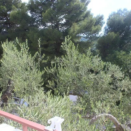 Anna Rodi Роди-Гарганико