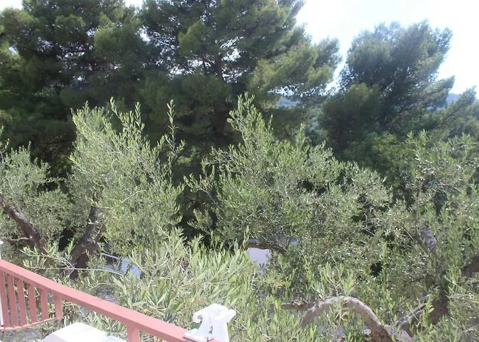 Anna Rodi 로디가르가니코